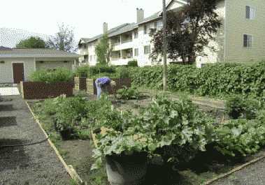 Lilac Plaza Retirement Community