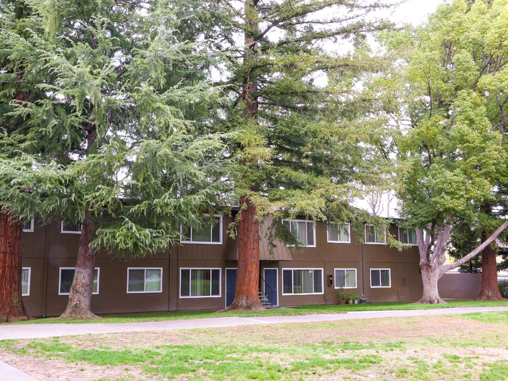 GreenBack Manor Apartments