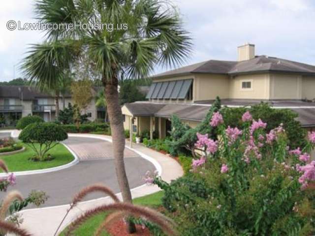 Outdoor picture of driveway in front of 2 story front office building. A palm tree to the right of the building and residential area in the back.