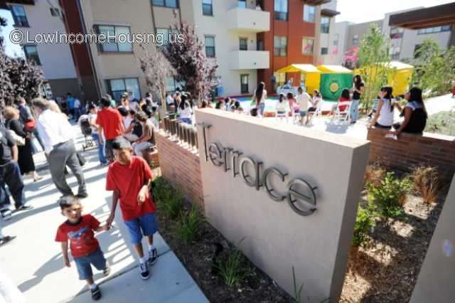 Children playing in an outdoor play area behind sign that reads 'Terrace' 