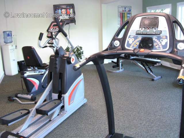 Photograph of the interior of a gymnasium with several items of equipment in view. 