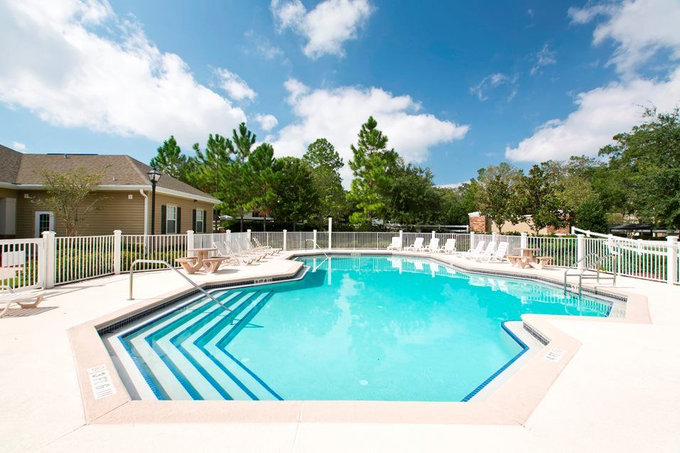 Very large swimming pool, large number of sun bathing chairs in evidence. No diving board.