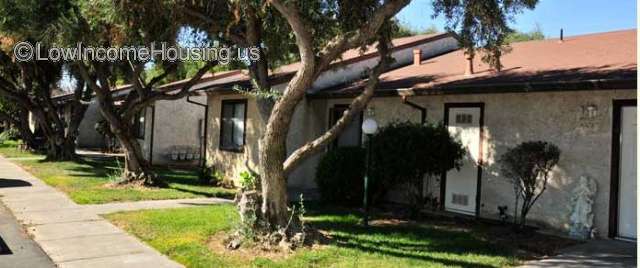 Single story row houses with large windows and easy access to street.  Ample vegetation for shade. 