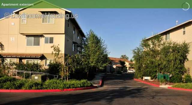 Large three level town houses with large shade trees on both side of the street. 