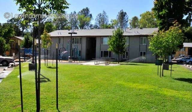 This is a photograph of a place that is in the process of growing.  If you notice you will see probably 5 water sprinklers in operation.  No children.  The structures for the children to use are idle