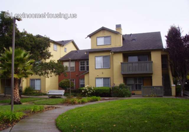 Cottage Unit with sleeping and living area on left and right.  Large window areas permit ample sun light.  